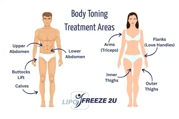 Graphic showing where you can have Body toning Treatment Billericay on your body